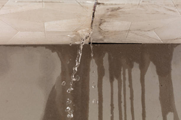 Professional Water Damage Repair technician working in Baker, CA